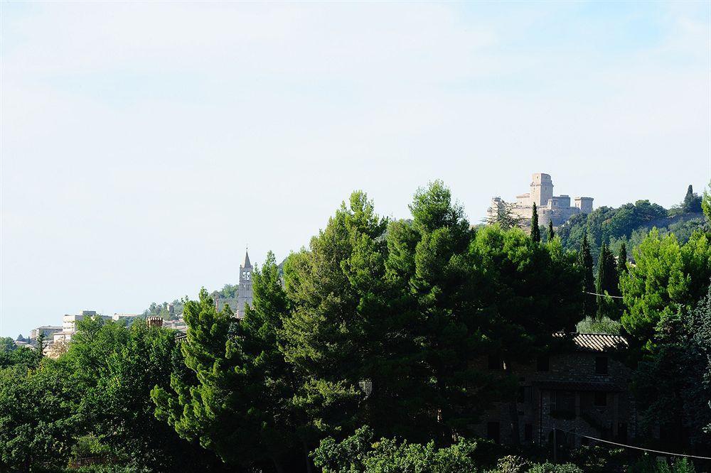 Colle Degli Olivi Snc Guest House Асизи Екстериор снимка